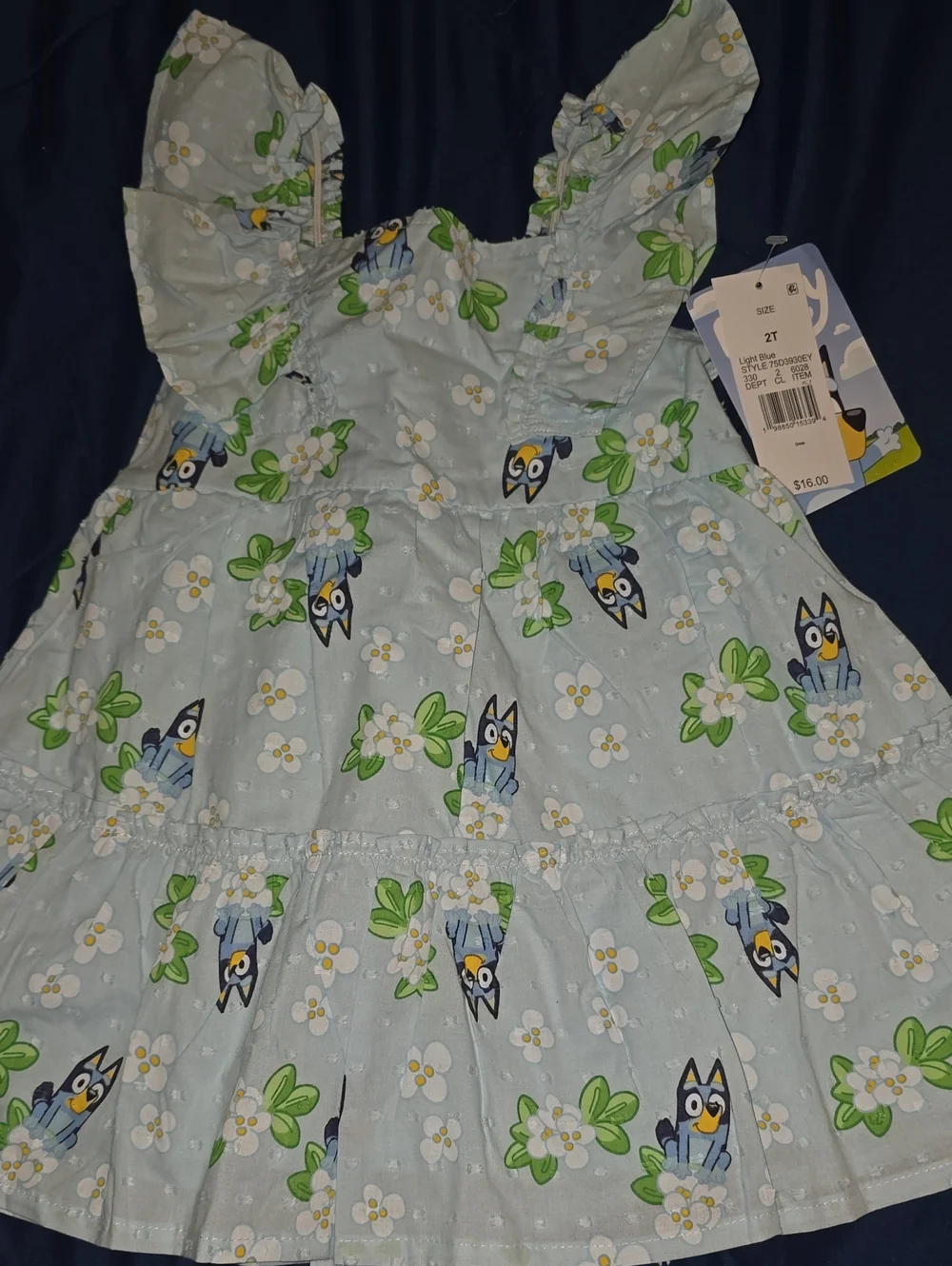 2T Bluey Dress